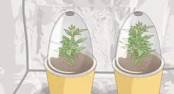 Increase Relative Humidity in a Grow Tent