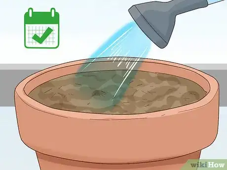 Image titled Grow Lettuce Indoors Step 6