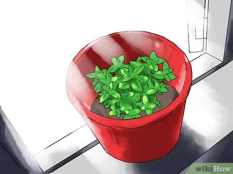 Image titled Grow Mint in a Pot Step 22