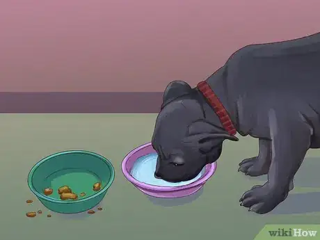 Image titled Feed an American Bully Puppy Step 7