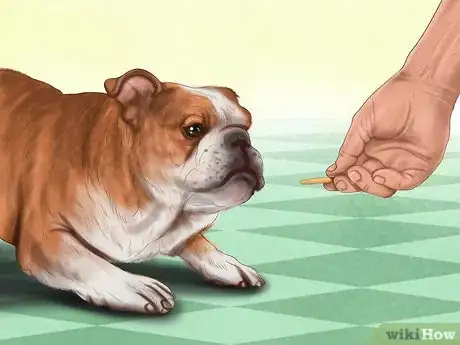 Image titled Reprimand a Pet Step 1