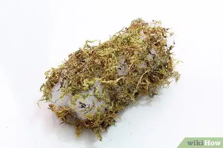 Image titled Make a Lantern Step 18