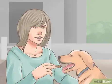 Image titled Choose a Training Program for Your Dog Step 1