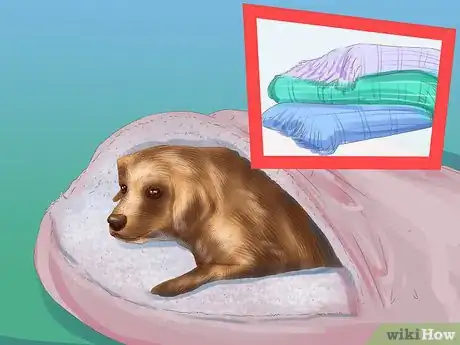 Image titled Make Your Home Safer for a Senior Dog Step 8