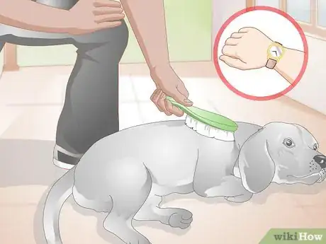 Image titled Choose Grooming Tools for an Aging Dog Step 8