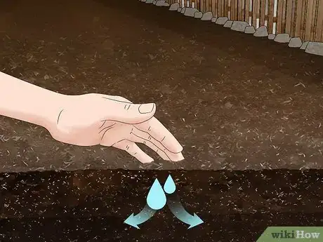 Image titled Grow Napa Cabbage Step 5