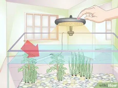 Image titled Take Care of Freshwater Fish Step 8