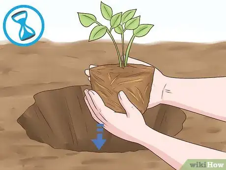 Image titled Plant Landscape Plants Step 16