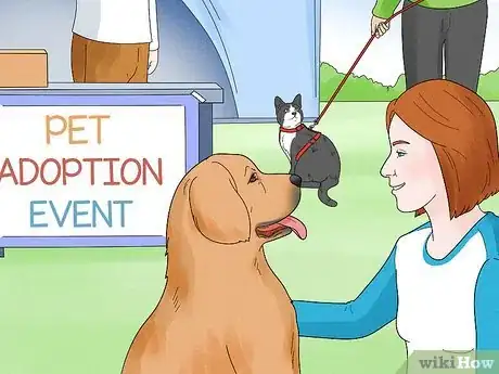 Image titled Help Homeless Animals Step 26