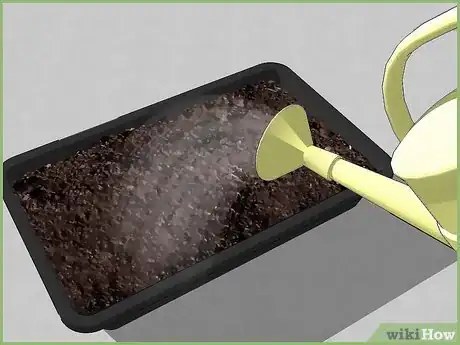 Image titled Plant a Seed Step 6