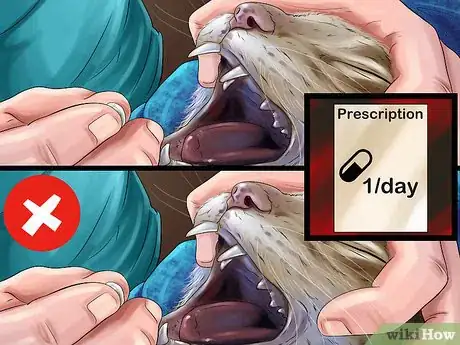 Image titled Give L‐Carnitine to Cats with Fatty Liver Step 5