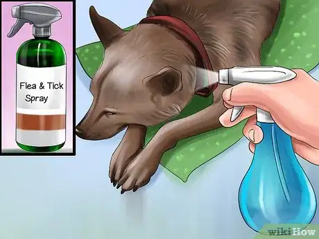 Image titled Keep Ticks from Your Dogs Step 9