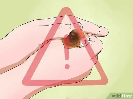 Image titled Toilet Train a Hamster Step 12