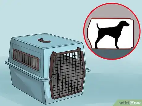 Image titled Bring a Dog to the Country of Panama Step 8