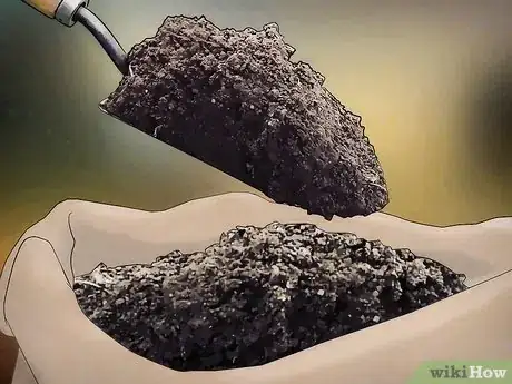 Image titled Grow Fruit in Pots Step 4