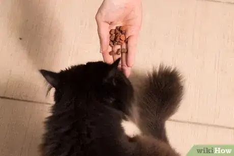 Image titled Care for Long Haired Cats Step 4