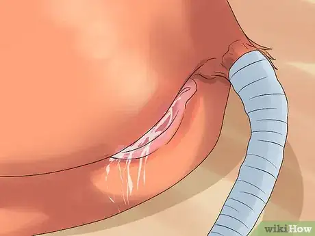 Image titled Deliver a Foal Step 12