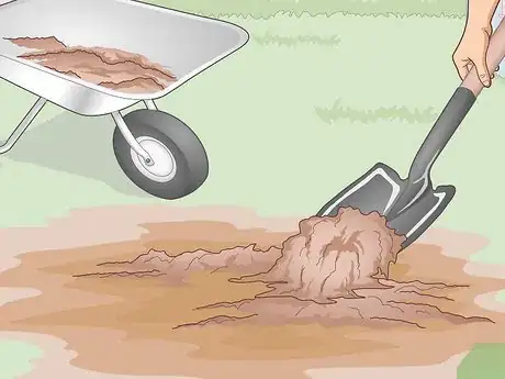 Image titled Care for a Bleeding Heart Step 2