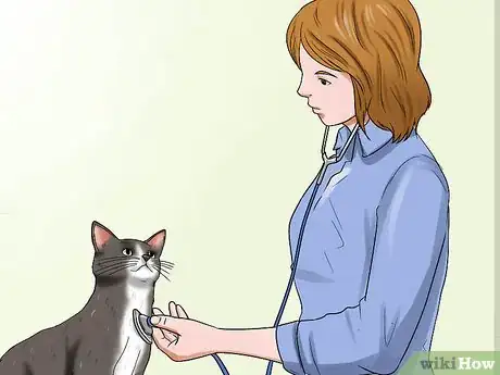 Image titled Prepare Your Cat for a New Baby Step 1