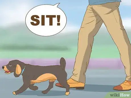 Image titled Have Fun While You're Walking Your Dog Step 11