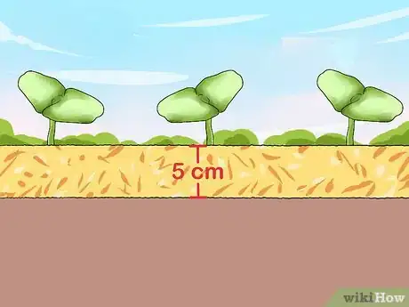 Image titled Grow Vegetables in Small Gardens Step 15