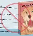 Avoid Foods Dangerous for Your Dog