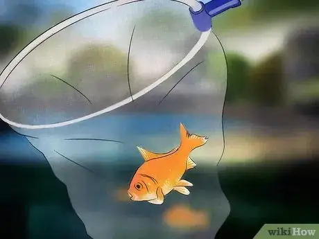 Image titled Care for Your Pond Step 13