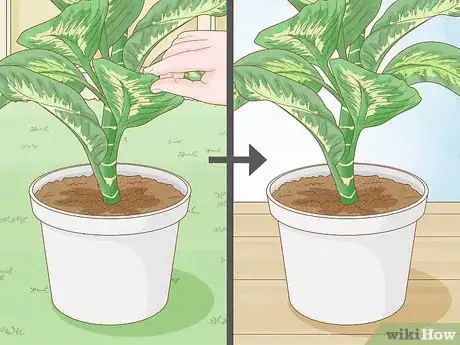 Image titled Get Rid of Thrips Indoors Step 9