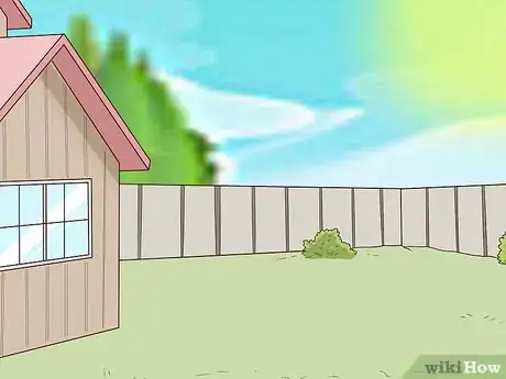 Image titled Grow Boronia Step 1