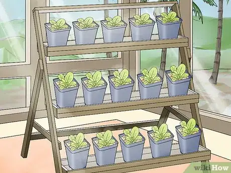 Image titled Design a Successful Indoor Garden Step 8