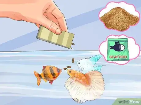 Image titled Start a Saltwater Aquarium Step 36