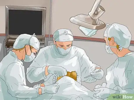 Image titled Care for a Dog with Brain Cancer Step 3