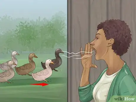 Image titled Train Ducks Step 12