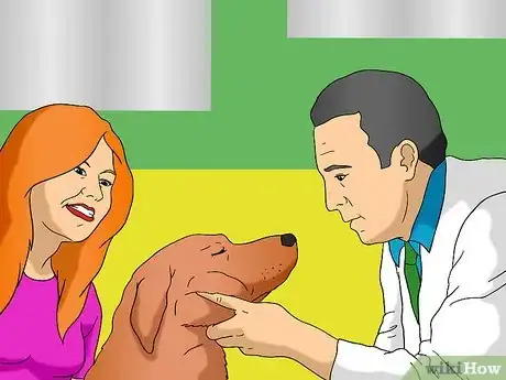 Image titled Keep Your Dog in Shape Step 7