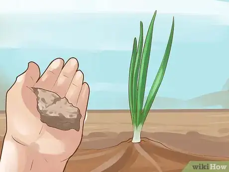 Image titled Grow Chives Step 14