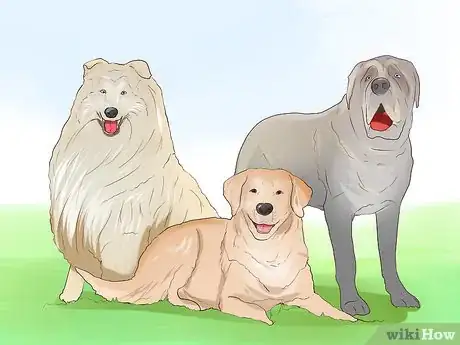 Image titled Walk a Big Dog As a Kid Step 9