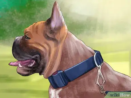 Image titled Buy Dog Training Collars Step 11