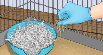 Make a Hamster Litter Box