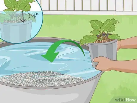 Image titled Grow an Edible Pond Step 8