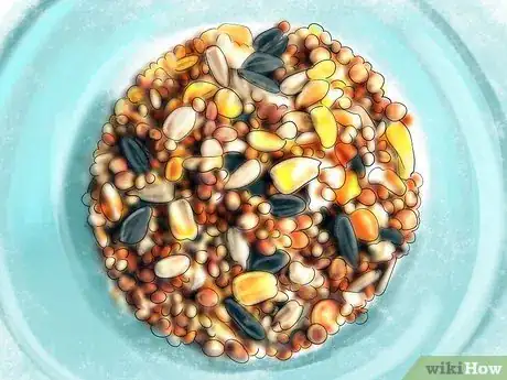 Image titled Care for a Pacific Parrotlet Step 9