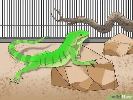 Image titled Help a Shedding Pet Reptile Step 11