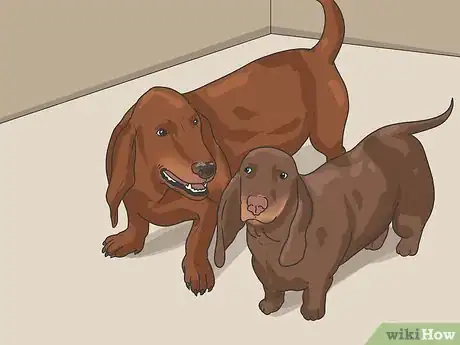 Image titled Keep Your Dog from Being Bored Step 15