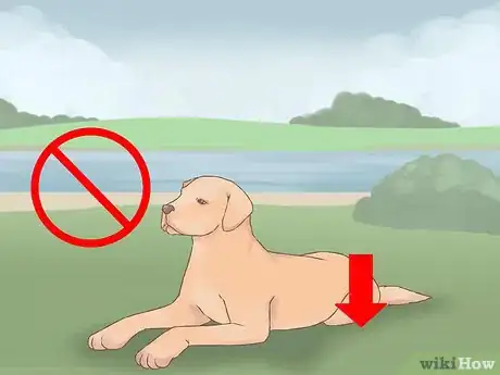Image titled Become Friends with an Unfriendly Dog Step 3