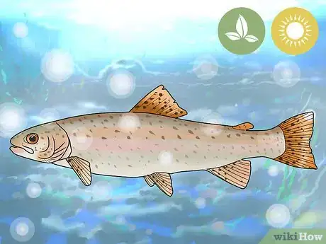 Image titled Fish for Steelhead Step 2