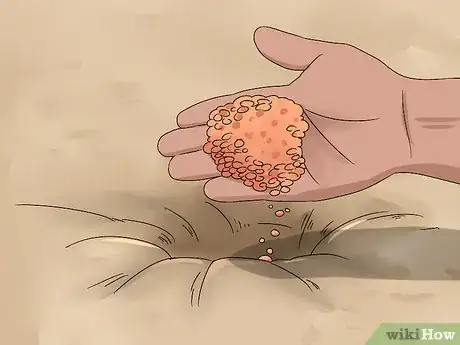 Image titled Make a Bulb Garden Step 17