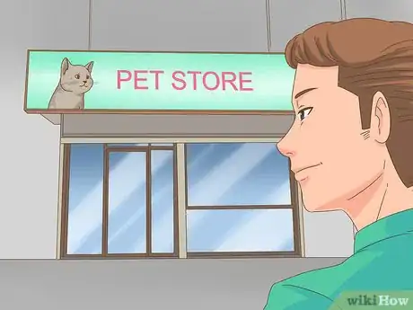 Image titled Buy a Chameleon Step 2