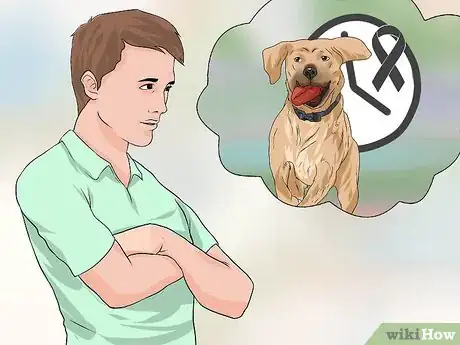 Image titled Treat Canine Cancer Step 8