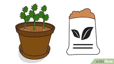 Image titled Grow Patchouli Step 16