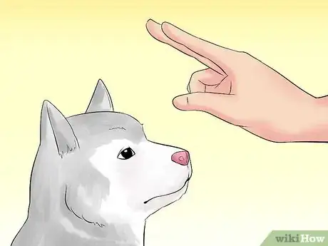 Image titled Train Teenager Stage Dogs Step 4