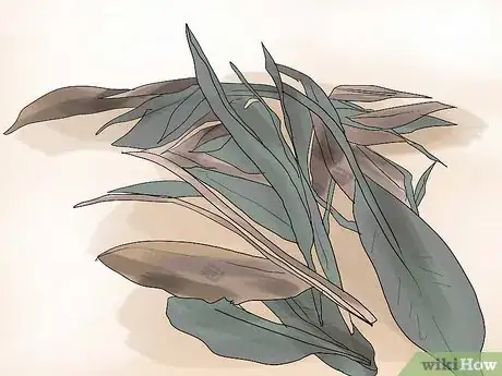 Image titled Grow Cannas Step 12